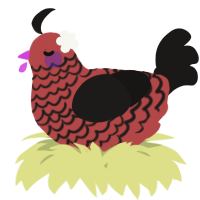 A red and sable chicken with a lace pattern