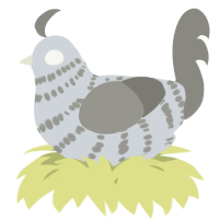 A mist and ash chicken with a bar pattern