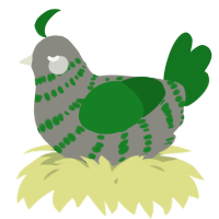 A ash and leaf chicken with a bar pattern