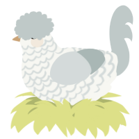 A white and silver chicken with a lace pattern