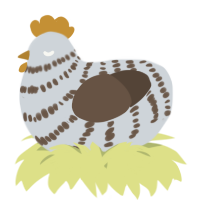 A mist and bark chicken with a bar pattern