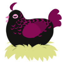 Scabiosa, a black and wine chicken with a half-lace pattern
