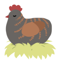A grey and brown chicken with a half-bar pattern