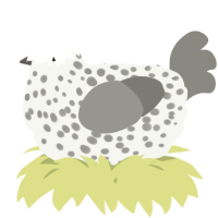A white and ash chicken with a speckle pattern