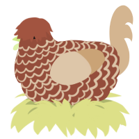 A russet and beige chicken with a lace pattern