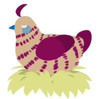 A beige and wine chicken with a bar pattern
