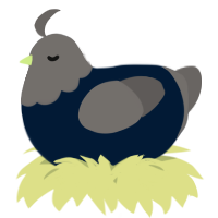 A tumblr and grey chicken with a head pattern