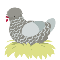 A ash and silver chicken with a lace pattern