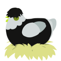 A black and silver chicken with a head pattern