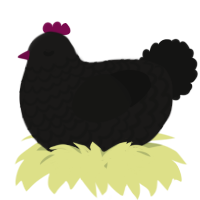 A sable and black chicken with a lace pattern