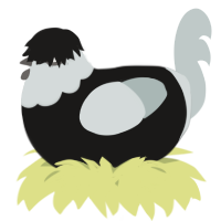 A sable and silver chicken with a head pattern