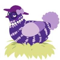 A indigo and lilac chicken with a bar pattern