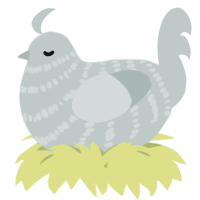 A silver chicken with a bar pattern