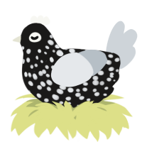 A sable and mist chicken with a speckle pattern