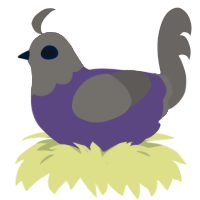 older lady, a overcast and grey chicken with a head pattern