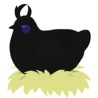 Pandemonium, a black chicken