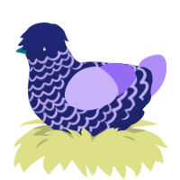 pythagoras, a navy and lilac chicken with a lace pattern