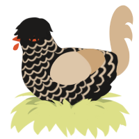 falin, a sable and beige chicken with a lace pattern