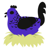 A indigo and black chicken with a half-lace pattern