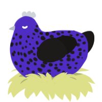 A indigo and sable chicken with a speckle pattern