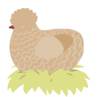 A beige chicken with a lace pattern