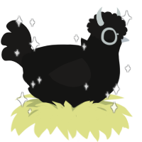 黒羽, a black and sable chicken