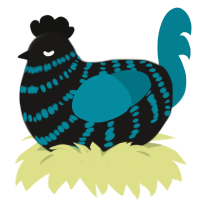 Rave, a sable and sea chicken with a bar pattern