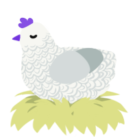 A white and silver chicken with a double-lace pattern