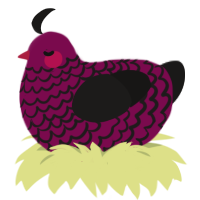 kir royale, a wine and sable chicken with a lace pattern