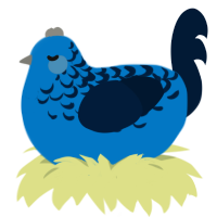 AY131, a sapphire and tumblr chicken with a half-lace pattern