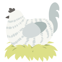 A white and silver chicken with a bar pattern