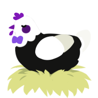 ACE CHICKEN, a black and white chicken with a head pattern