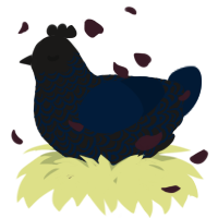 A sable and tumblr chicken with a double-lace pattern