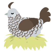 A mist and bark chicken with a lace pattern