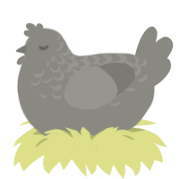 cement eater, a ash chicken with a half-lace pattern