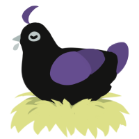 A black and overcast chicken