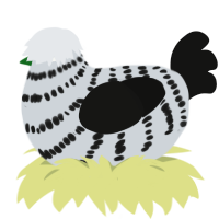 A mist and black chicken with a bar pattern
