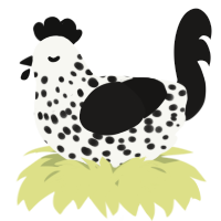 A white and sable chicken with a speckle pattern