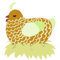 A ochre and apple chicken with a lace pattern