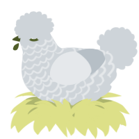 A mist chicken with a lace pattern