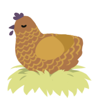 lesser false turd, a brown and gold chicken with a lace pattern