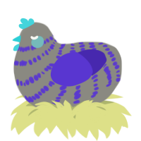 A ash and indigo chicken with a bar pattern