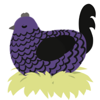 A overcast and black chicken with a lace pattern
