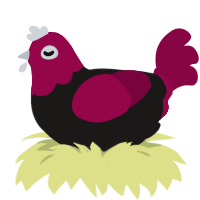 A sable and maroon chicken with a head pattern