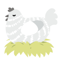 A silver chicken with a bar pattern