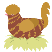 A russet and gold chicken with a bar pattern