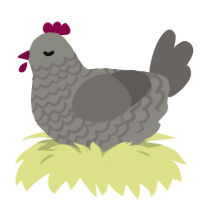 Grouse, a ash and grey chicken with a lace pattern