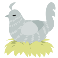 A silver chicken with a bar pattern
