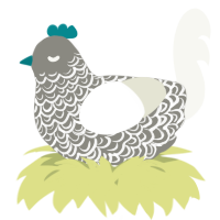 A ash and white chicken with a double-lace pattern