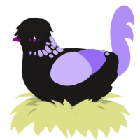 icing, a sable and lilac chicken with a neck-speckle pattern